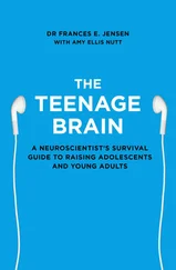 Frances Jensen - The Teenage Brain - A neuroscientist’s survival guide to raising adolescents and young adults