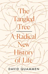 David Quammen - The Tangled Tree - A Radical New History of Life