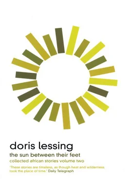Doris Lessing The Sun Between Their Feet: Collected African Stories Volume Two обложка книги