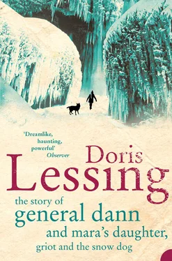 Doris Lessing The Story of General Dann and Mara's Daughter, Griot and the Snow Dog обложка книги