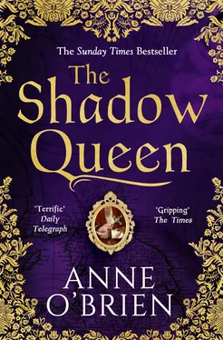 Anne O'Brien The Shadow Queen: The Sunday Times bestselling book – a must read for Summer 2018 обложка книги