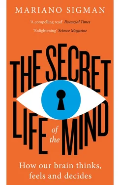 Mariano Sigman The Secret Life of the Mind: How Our Brain Thinks, Feels and Decides обложка книги