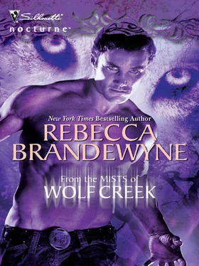 Rebecca Brandewyne From The Mists Of Wolf Creek обложка книги