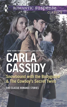Carla Cassidy Snowbound with the Bodyguard & The Cowboy's Secret Twins: Snowbound with the Bodyguard / The Cowboy's Secret Twins обложка книги
