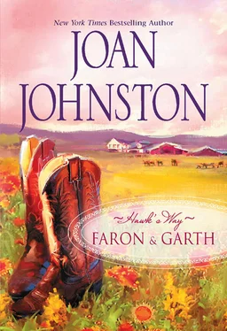 Joan Johnston Hawk's Way Collection: Faron And Garth: Hawk's Way: Garth / Hawk's Way: Faron обложка книги