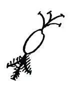 Chapter 62 Sola Speaks Ah but the great book had been rewritten In Nsibidi - фото 1