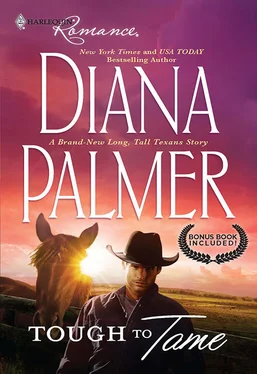 Diana Palmer Tough To Tame: Tough to Tame / Passion Flower обложка книги