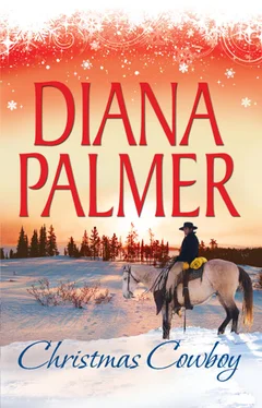 Diana Palmer Christmas Cowboy: Will of Steel / Winter Roses обложка книги