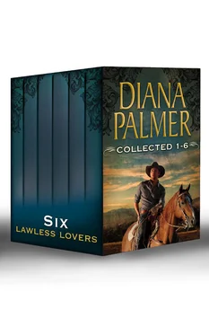 Diana Palmer Diana Palmer Collected 1-6: Soldier of Fortune / Tender Stranger / Enamored / Mystery Man / Rawhide and Lace / Unlikely Lover обложка книги