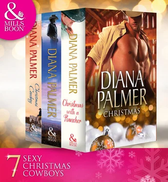 Diana Palmer Diana Palmer Christmas Collection: The Rancher / Christmas Cowboy / A Man of Means / True Blue / Carrera's Bride / Will of Steel / Winter Roses обложка книги