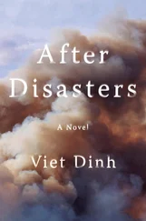 Viet Dinh - After Disasters