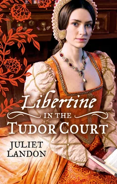 Juliet Landon LIBERTINE in the Tudor Court: One Night in Paradise / A Most Unseemly Summer обложка книги
