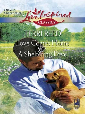 Terri Reed Love Comes Home and A Sheltering Love: Love Comes Home / A Sheltering Love обложка книги