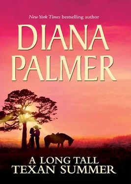 Diana Palmer A Long Tall Texan Summer: Tom / Drew / Jobe обложка книги
