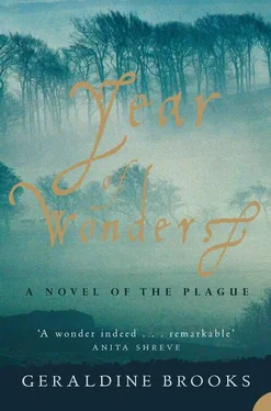 Geraldine Brooks Year of Wonders обложка книги