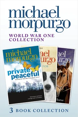 Michael Morpurgo World War One Collection: Private Peaceful, A Medal for Leroy, Farm Boy обложка книги