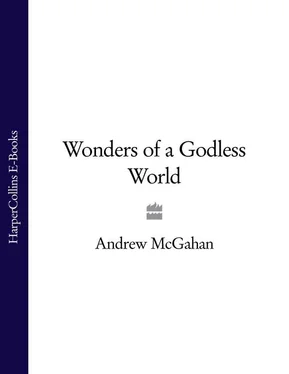 Andrew McGahan Wonders of a Godless World обложка книги