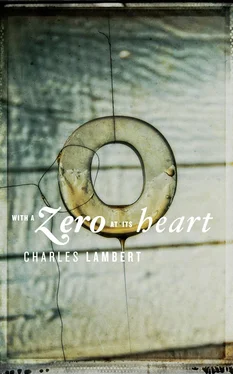 Charles Lambert With a Zero at its Heart обложка книги