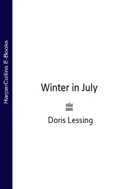 Doris Lessing Winter in July обложка книги