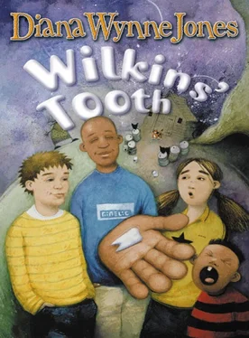 Diana Jones Wilkins’ Tooth обложка книги