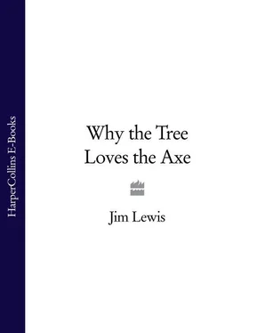 Jim Lewis Why the Tree Loves the Axe обложка книги