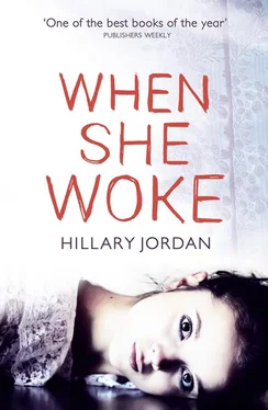 Hillary Jordan When She Woke обложка книги