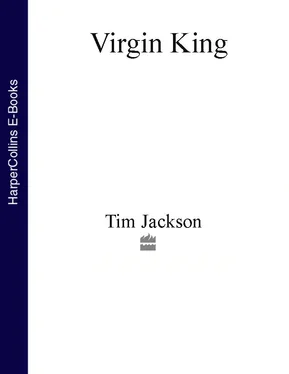 Tim Jackson Virgin King (Text Only) обложка книги