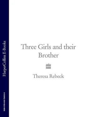 Theresa Rebeck Three Girls and their Brother обложка книги