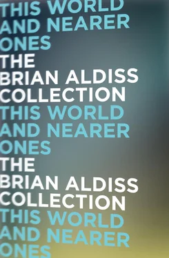 Brian Aldiss This World and Nearer Ones обложка книги