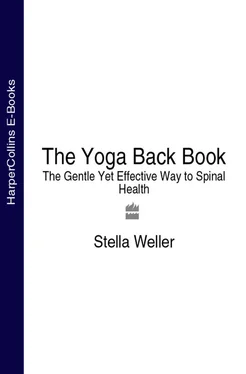 Stella Weller The Yoga Back Book: The Gentle Yet Effective Way to Spinal Health обложка книги