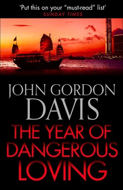 John Davis The Year of Dangerous Loving обложка книги