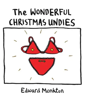 Edward Monkton The Wonderful Christmas Undies обложка книги