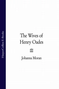 Johanna Moran The Wives of Henry Oades обложка книги