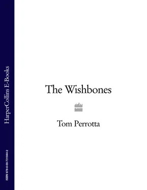 Tom Perrotta The Wishbones обложка книги