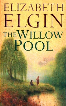 Elizabeth Elgin The Willow Pool обложка книги