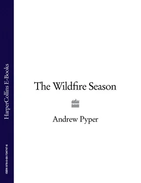 Andrew Pyper The Wildfire Season обложка книги