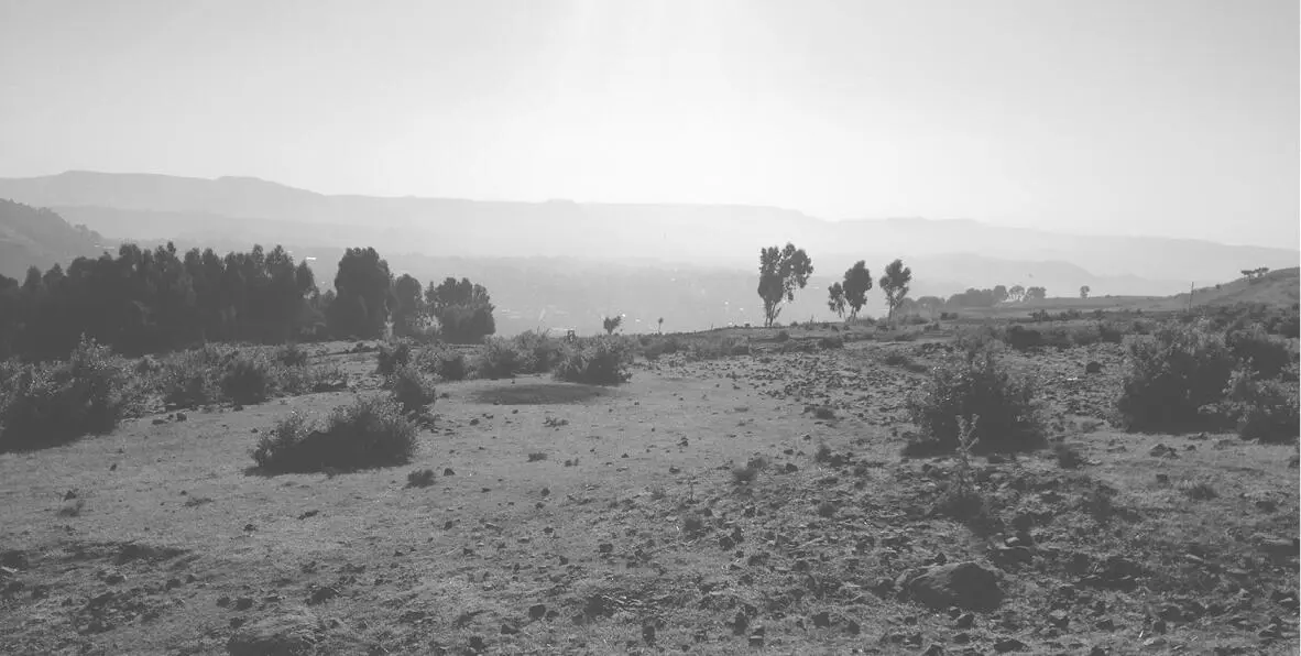 The landscape around Gonderoch Mariam Photograph by the author HIDAR THE - фото 2
