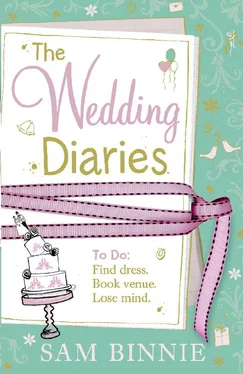 Sam Binnie The Wedding Diaries обложка книги