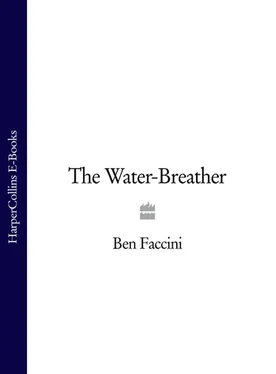 Ben Faccini The Water-Breather обложка книги