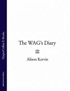 Alison Kervin The WAG’s Diary обложка книги