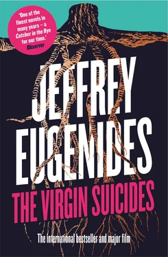 Jeffrey Eugenides The Virgin Suicides обложка книги