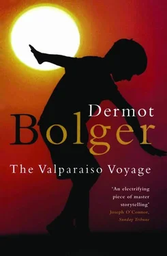 Dermot Bolger The Valparaiso Voyage обложка книги