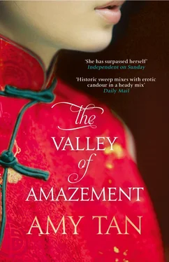 Amy Tan The Valley of Amazement обложка книги