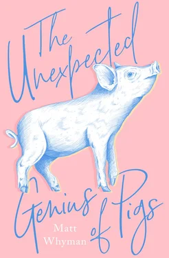 Matt Whyman The Unexpected Genius of Pigs обложка книги