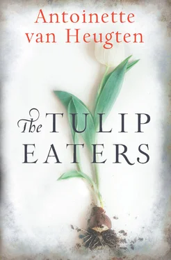 Antoinette Heugten The Tulip Eaters обложка книги