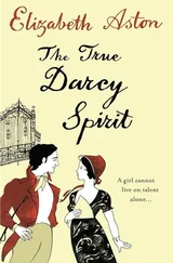 Elizabeth Aston - The True Darcy Spirit