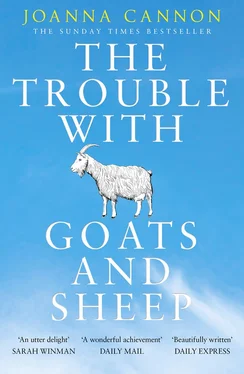 Joanna Cannon The Trouble with Goats and Sheep обложка книги
