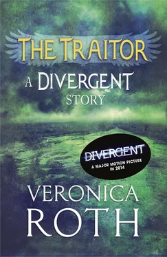 Veronica Roth The Traitor: A Divergent Story обложка книги