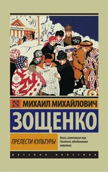 Михаил Зощенко - Прелести культуры (сборник)