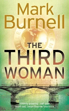 Mark Burnell The Third Woman обложка книги